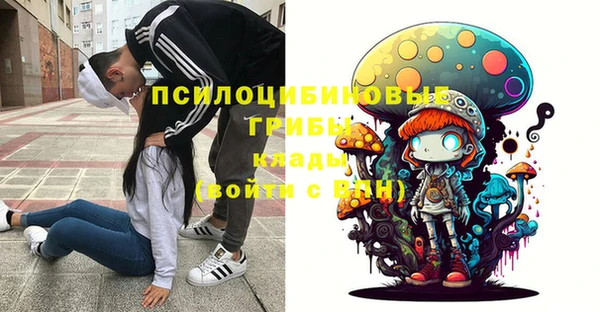 экстази Гусиноозёрск